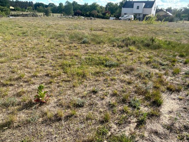 Działka budowlana Niekłończyca. Zdjęcie 1