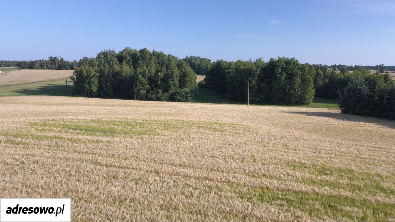 Działka budowlana Lubichowo. Zdjęcie 9