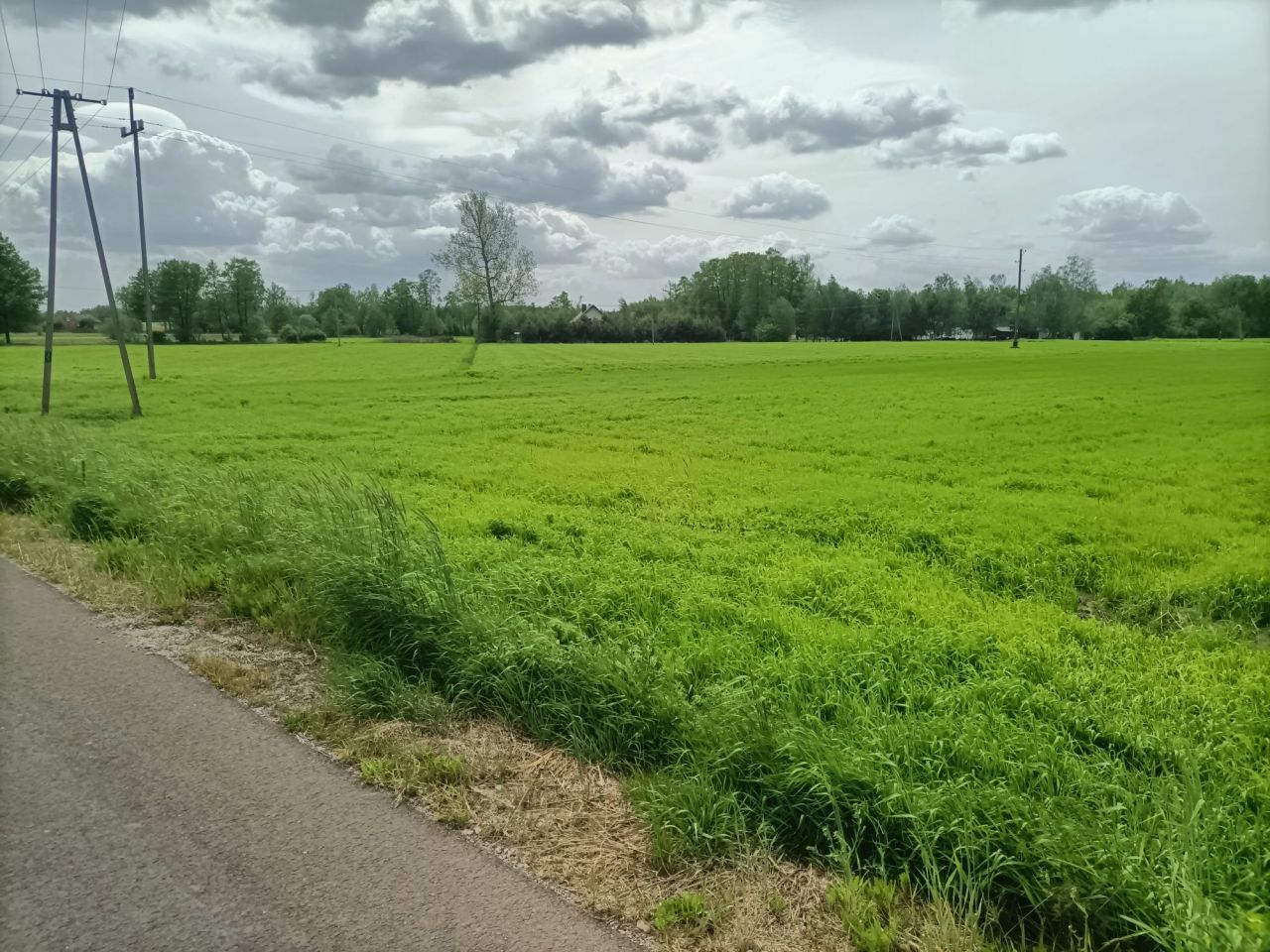Działka rolno-budowlana Chwalborzyce. Zdjęcie 2