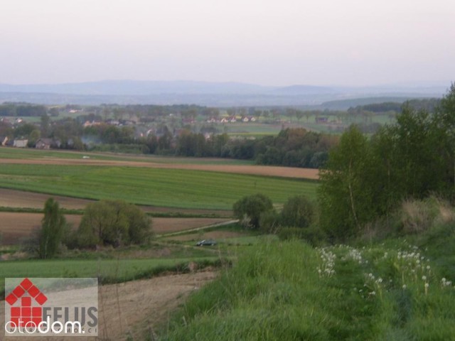 Działka rolno-budowlana Rybna. Zdjęcie 1
