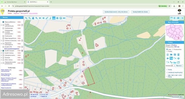 Działka leśna Gołęczyna. Zdjęcie 1