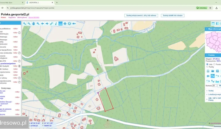 Działka leśna Gołęczyna