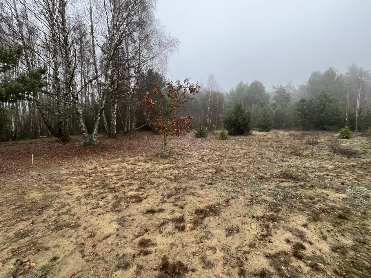 bliźniak, 4 pokoje Nasielsk, ul. Krańcowa. Zdjęcie 6