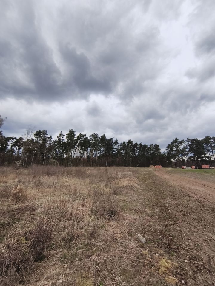 Działka rekreacyjna Bielin. Zdjęcie 3