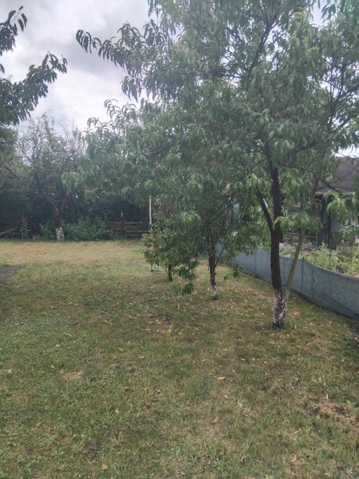 Działka rod Wrocław Muchobór Mały, ul. Klecińska. Zdjęcie 5