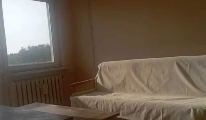 Mieszkanie 2-pokojowe Sosnowiec, ul. Kalinowa