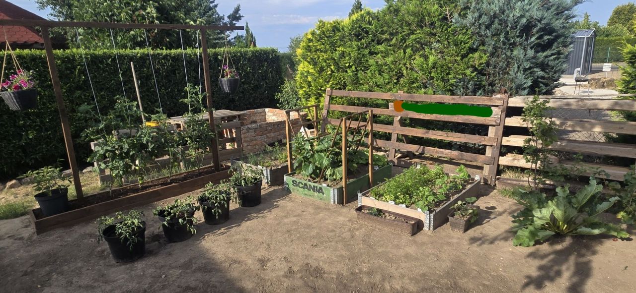 Działka rod Ruszowice. Zdjęcie 2