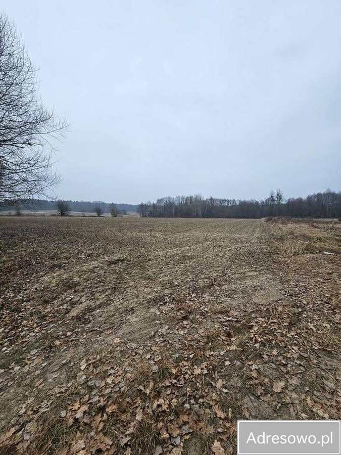 Działka budowlana Łazy Wielkie. Zdjęcie 8