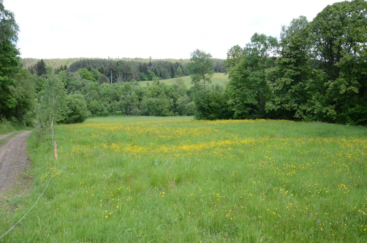 Działka budowlana Skwirtne. Zdjęcie 3
