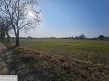 Działka rolno-budowlana Szembruk. Zdjęcie 4