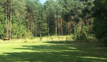 Działka leśna Niewodnica Kościelna, ul. Lisia