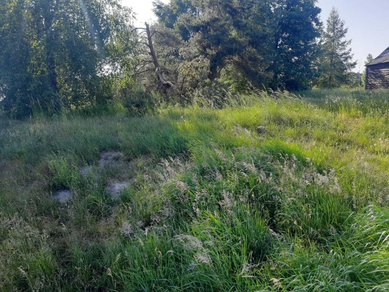 Działka budowlana Chwarzno. Zdjęcie 5