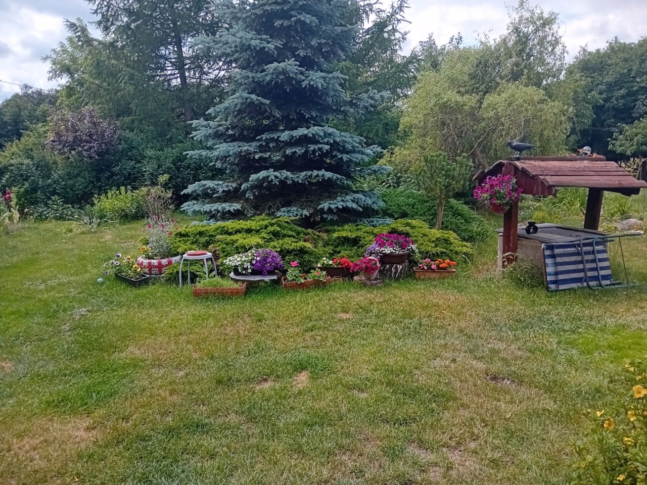 siedlisko, 3 pokoje Rumunki Tupadelskie