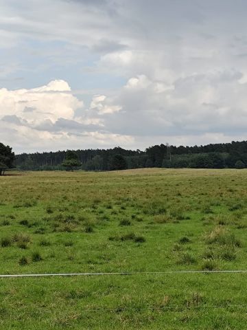 Działka siedliskowa Kęsza. Zdjęcie 2