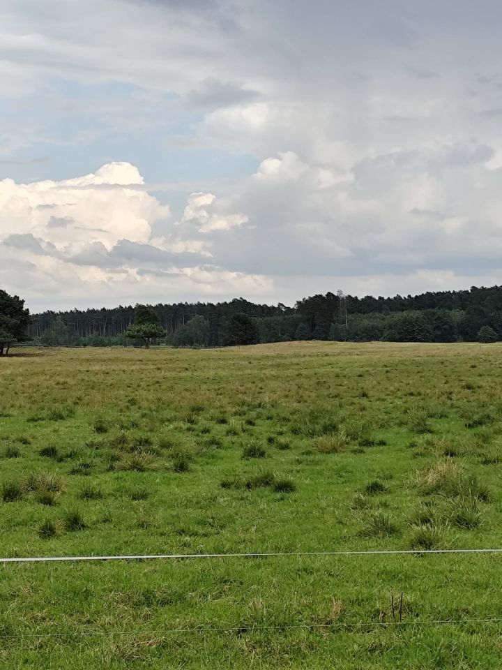 Działka siedliskowa Kęsza. Zdjęcie 2