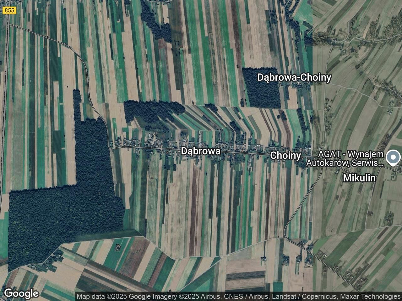 Działka budowlana Dąbrowa