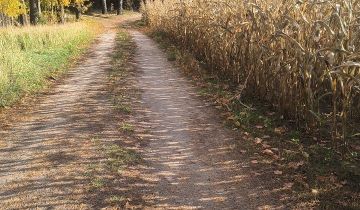 Działka budowlana Lidzbark