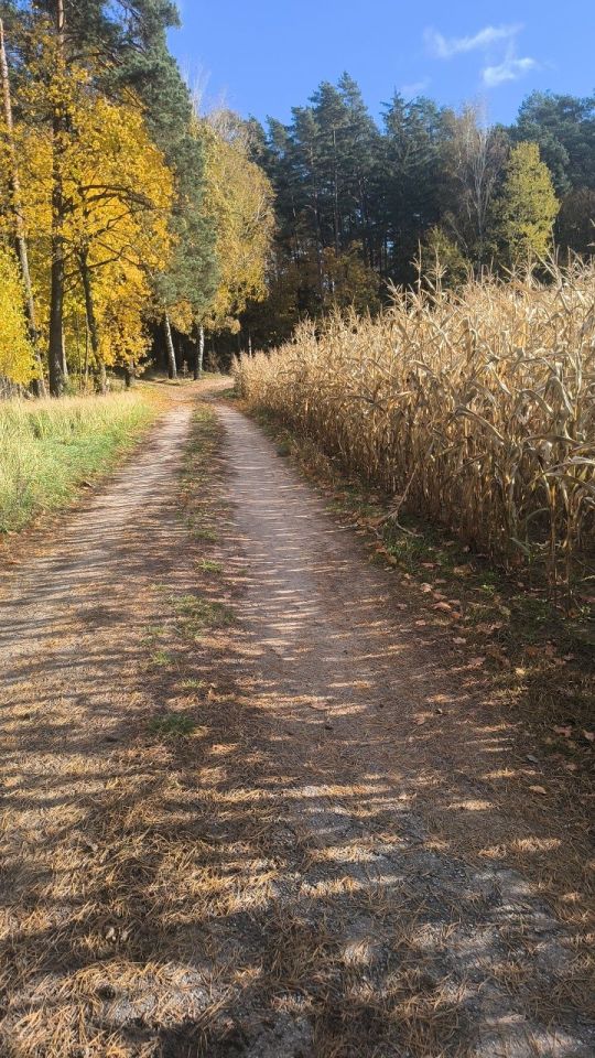 Działka budowlana Lidzbark. Zdjęcie 2