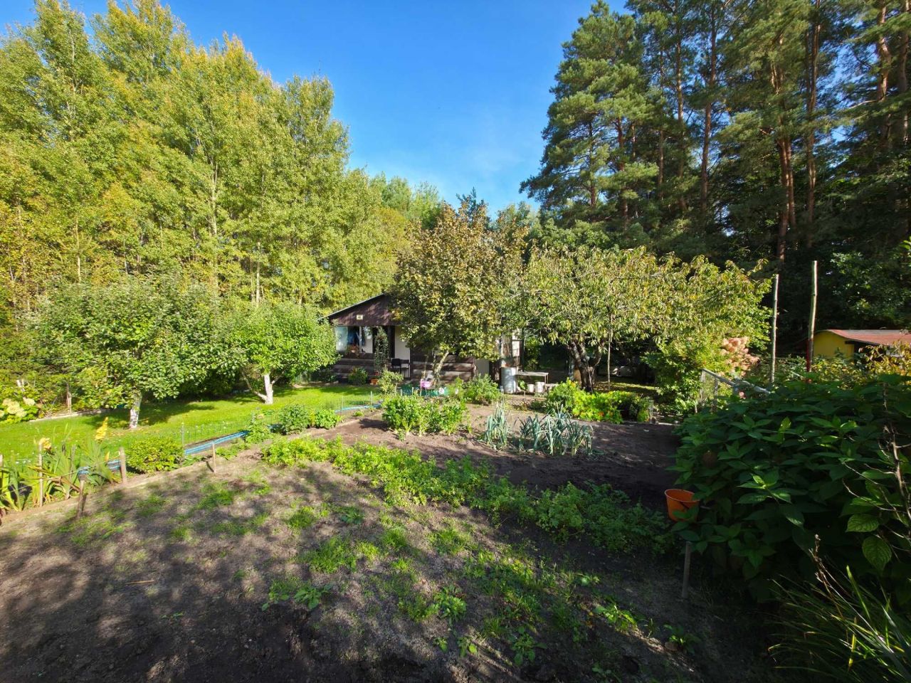 Działka rod Olsztyn. Zdjęcie 6