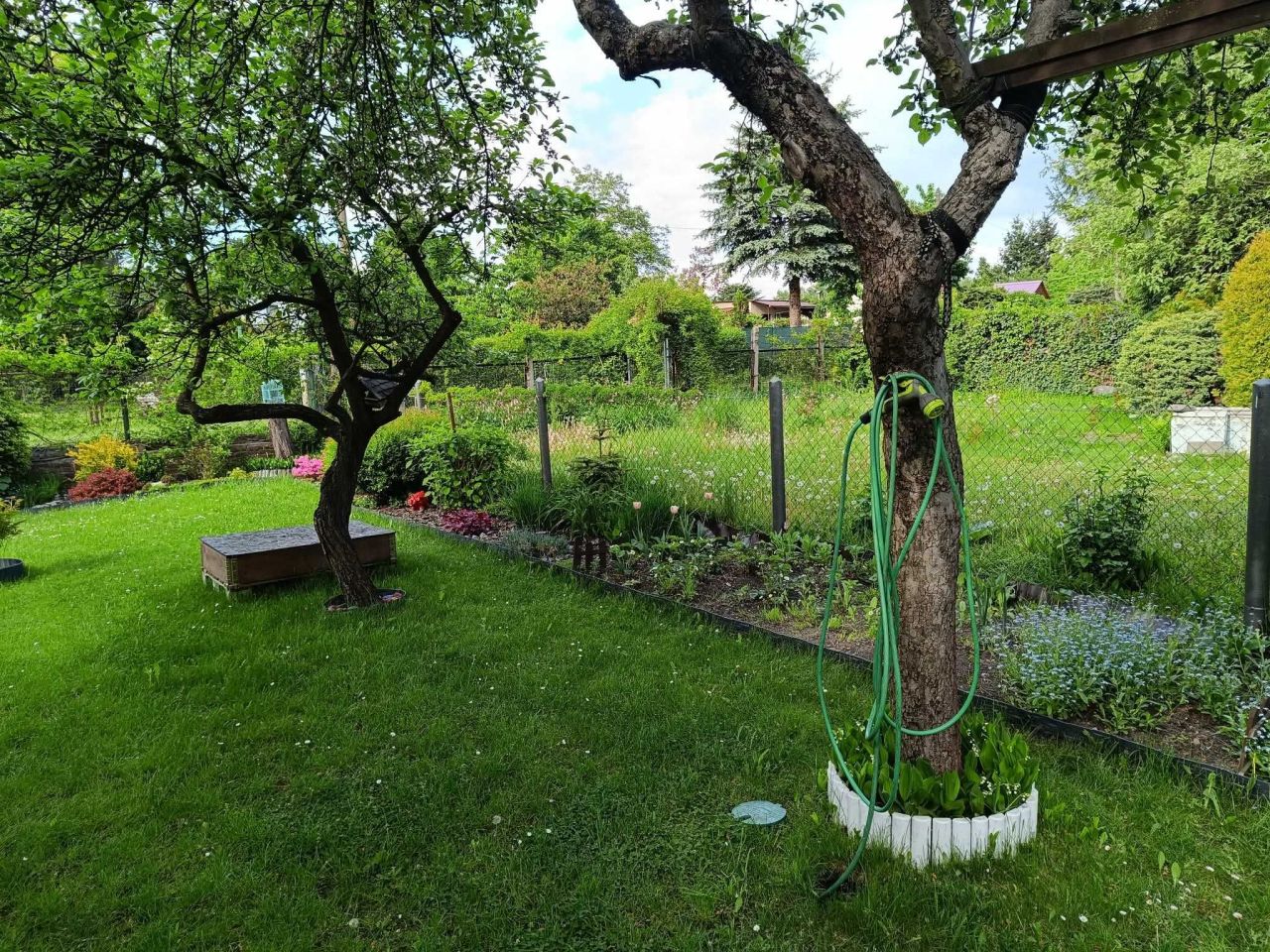 Działka rekreacyjna Katowice Koszutka, ul. Brzozowa. Zdjęcie 3