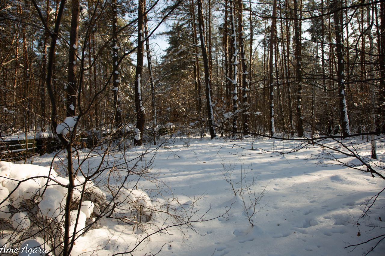 Działka budowlana Marózek. Zdjęcie 14