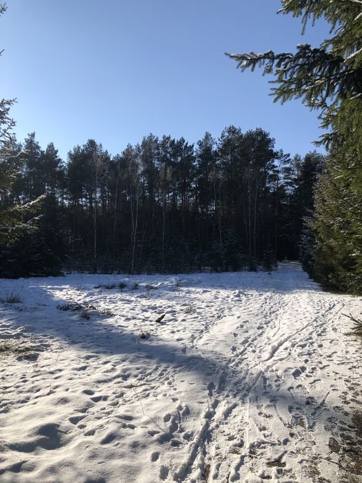 Działka budowlana Jasionna. Zdjęcie 8