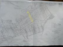 Działka rolna Popielów. Zdjęcie 1