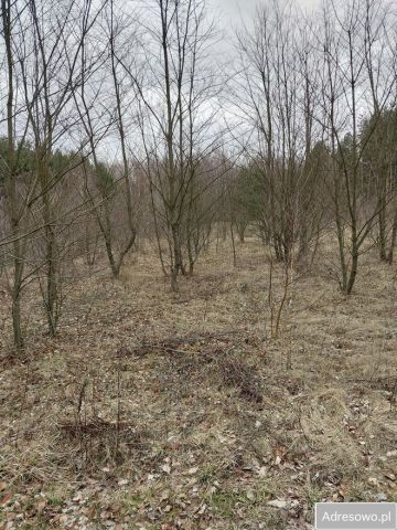 Działka budowlana Nowe Miasto. Zdjęcie 1