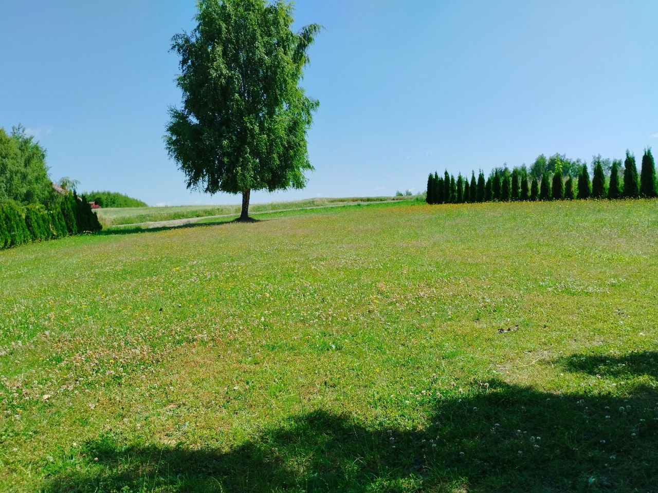 Działka rolna Bibice, ul. Leszczynowa. Zdjęcie 3