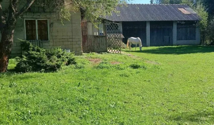 Działka siedliskowa Osiek