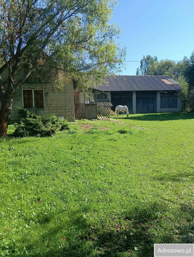 Działka siedliskowa Osiek. Zdjęcie 1