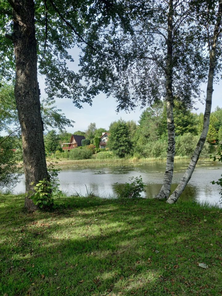Działka rod Olszanka, ul. Porzeczkowa. Zdjęcie 7