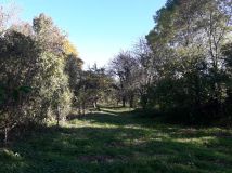 Działka siedliskowa Przybudki. Zdjęcie 2