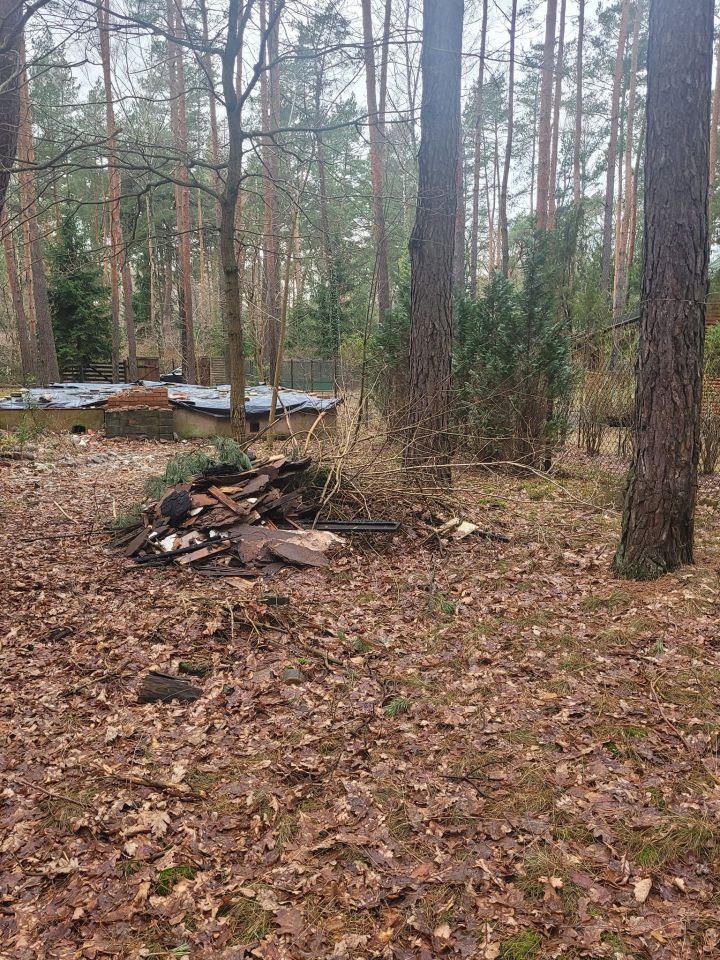 Działka leśna Poddębie, ul. Brzozowa. Zdjęcie 4