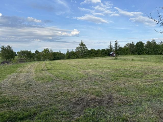 Działka rolno-budowlana Głotowo. Zdjęcie 1