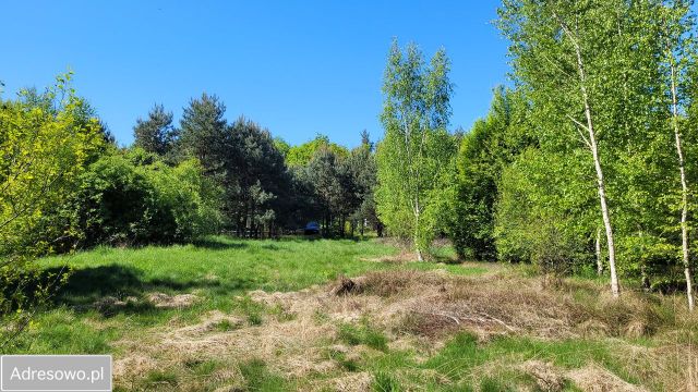 Działka inwestycyjna Olbrachtów. Zdjęcie 1