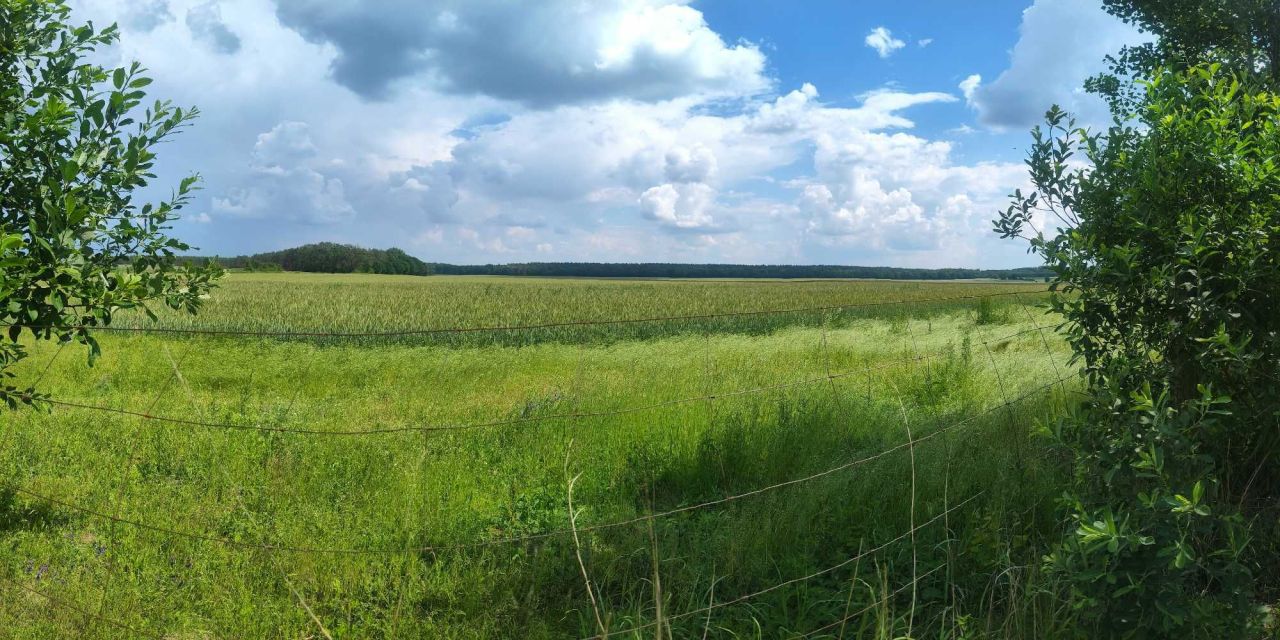 Działka rolno-budowlana Baniewice. Zdjęcie 4