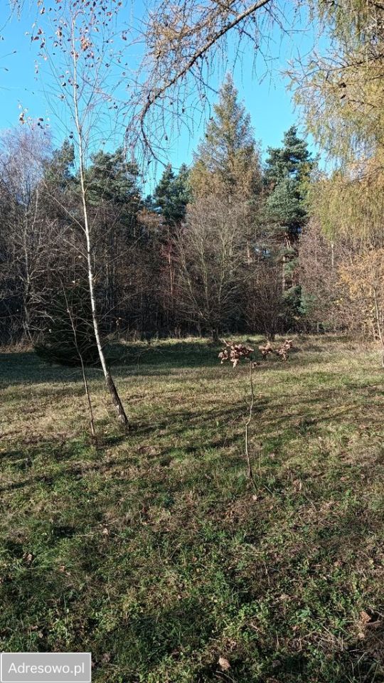 Działka budowlana Kiełkowice, ul. Więcki. Zdjęcie 3