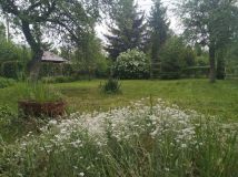 Działka rod Toruń, ul. Stanisława Przybyszewskiego. Zdjęcie 4