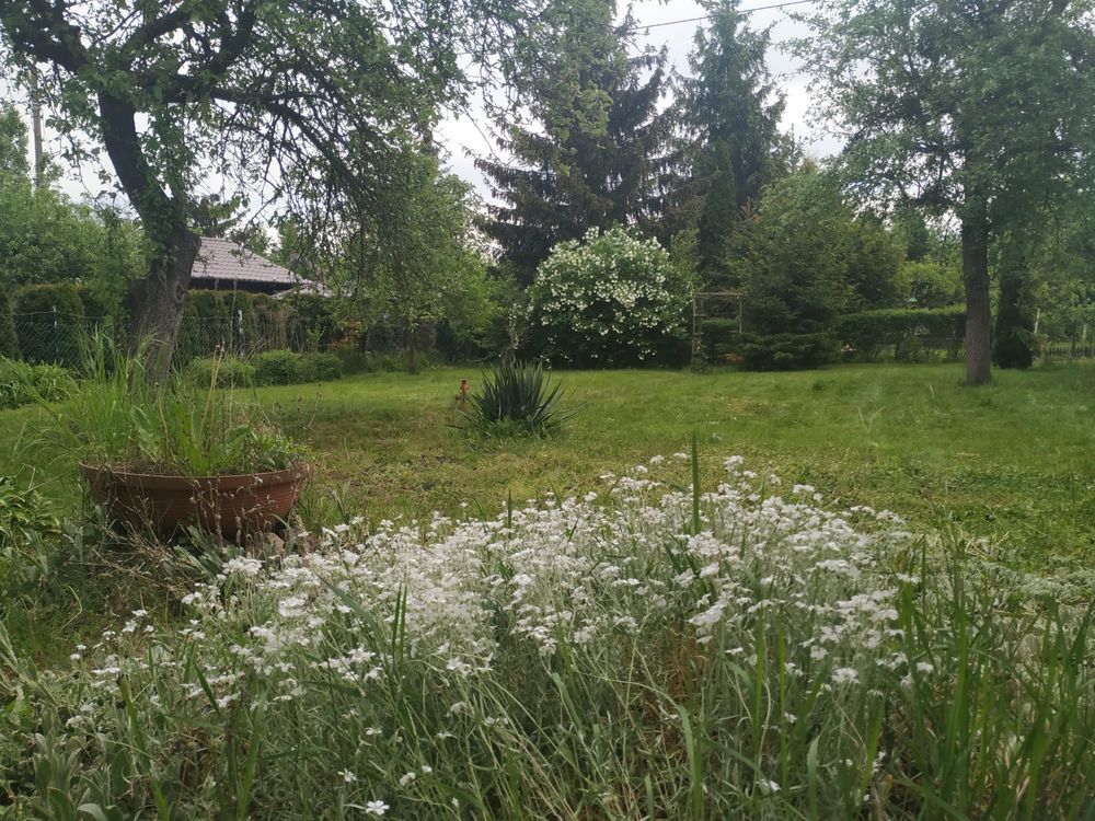 Działka rod Toruń, ul. Stanisława Przybyszewskiego. Zdjęcie 5