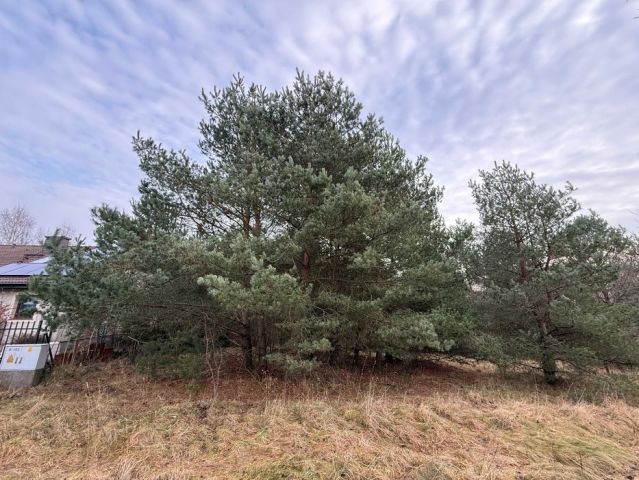 Działka rolna Kobysewo, ul. Orzechowa. Zdjęcie 1