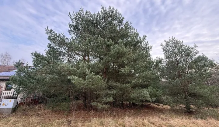 Działka rolna Kobysewo, ul. Orzechowa