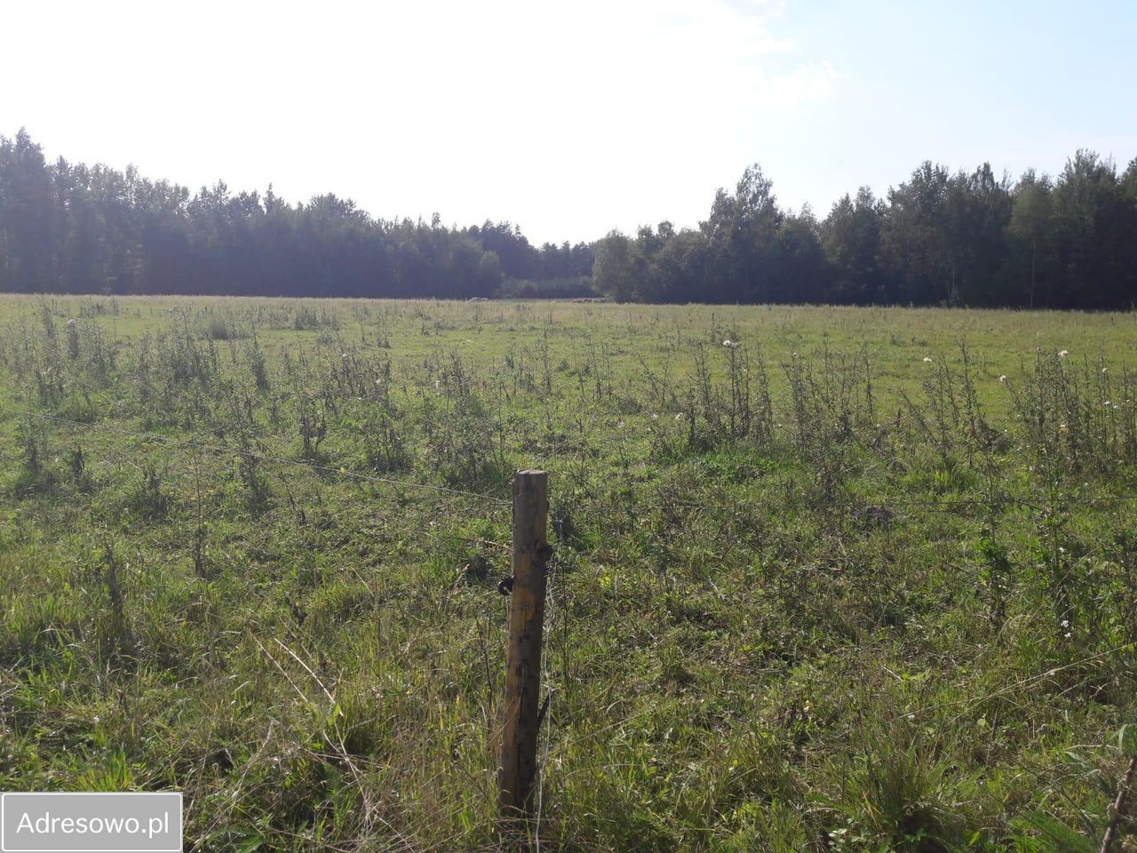 Działka rolno-budowlana Zabłudów. Zdjęcie 14