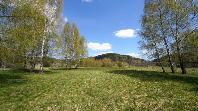 Działka inwestycyjna Wysowa-Zdrój. Zdjęcie 1