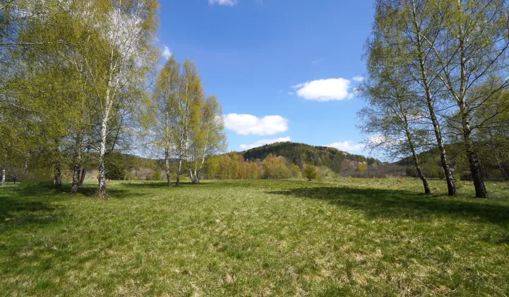 Działka inwestycyjna Wysowa-Zdrój