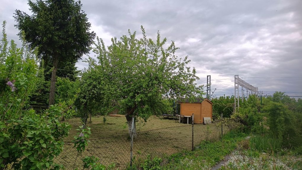 Działka rod Gliwice Kopernik, ul. Perseusza. Zdjęcie 3