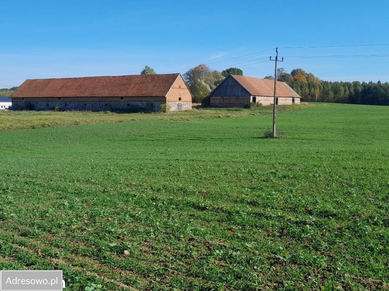 Działka rolno-budowlana Bezledy. Zdjęcie 15