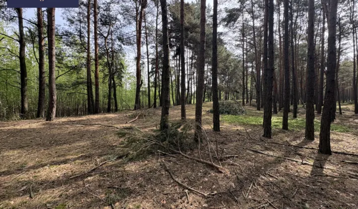 Działka budowlana Gizałki