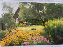 Działka siedliskowa Magnuszew Duży Magnuszew. Zdjęcie 3