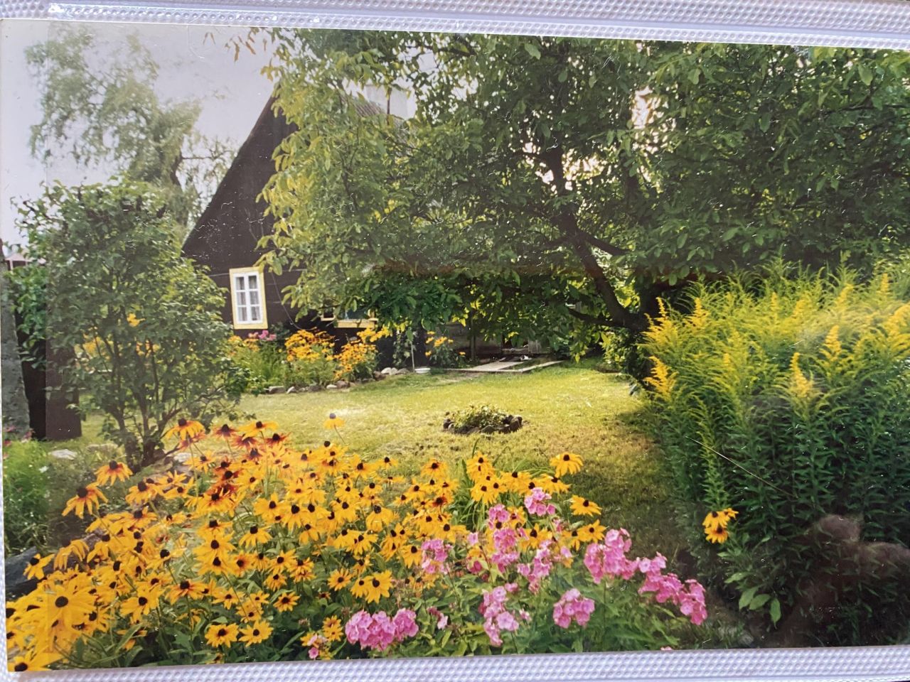 Działka siedliskowa Magnuszew Duży Magnuszew. Zdjęcie 4